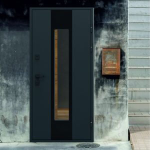 Дверь ''INOX BLACK"
